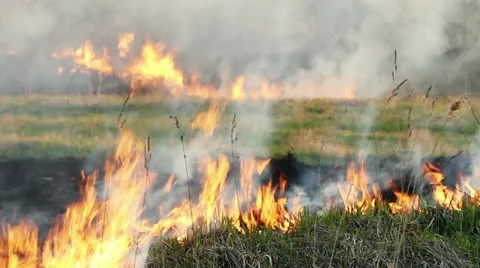 Wildfire Stock Footage 11047870