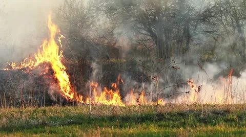 Wildfire Stock Footage 11047876