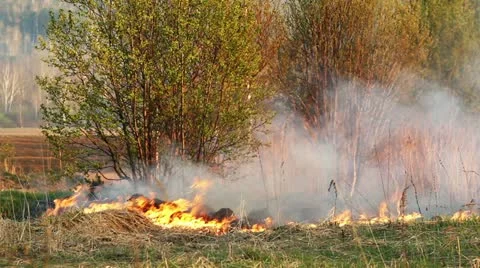 Wildfire Stock Footage 11047877