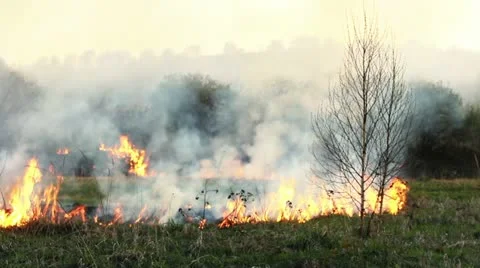 Wildfire Stock Footage 11047879