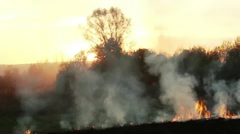 Wildfire Stock Footage 11047904