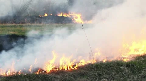 Wildfire Stock Footage 11047909