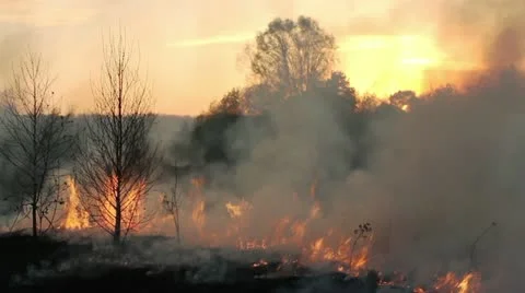 Wildfire Stock Footage 11047957