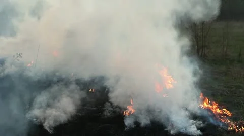 Wildfire Stock Footage 11047981