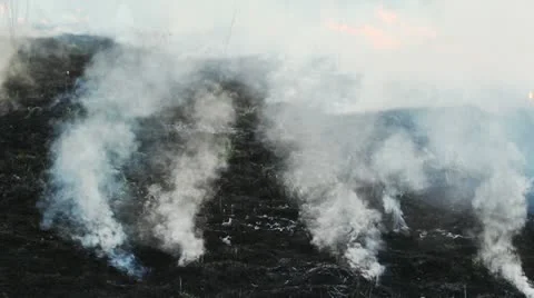 Wildfire Stock Footage 11047982