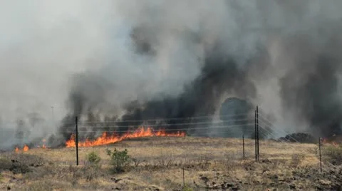 Wildfire Stock Footage 11760143