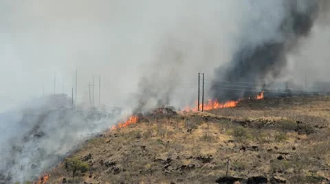 Wildfire Stock Footage 11760209