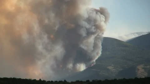 Wildfire Vídeos de archivo 12575500