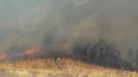 Wildfire Stock Footage 21848724