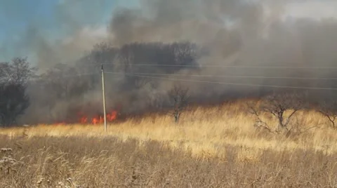 Wildfire Video stock 21849330
