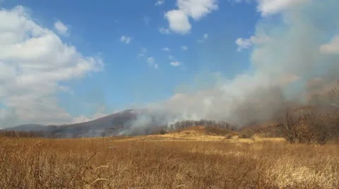 Wildfire Stock Footage 21849452