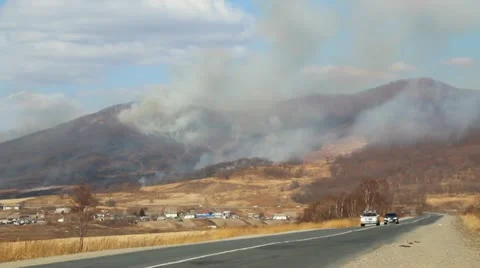 Wildfire Stock Footage 21849639