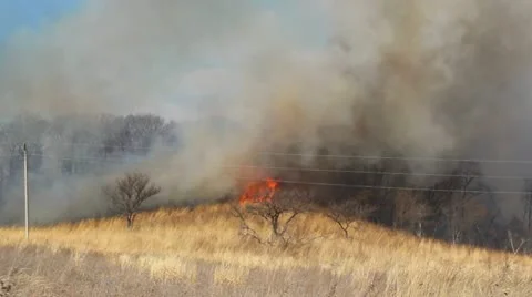 Wildfire Stock Footage 21858290