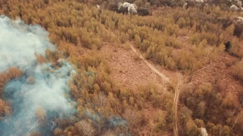 Wildfire Stock Footage 132176905