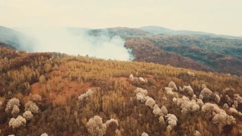 Wildfire Stock Footage 132176907