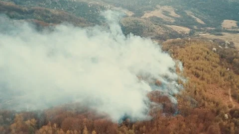 Wildfire Stock Footage 132176909