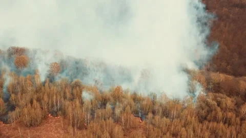 Wildfire Stock Footage 132176913