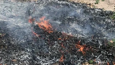 Wildfire Stock Footage 154068096