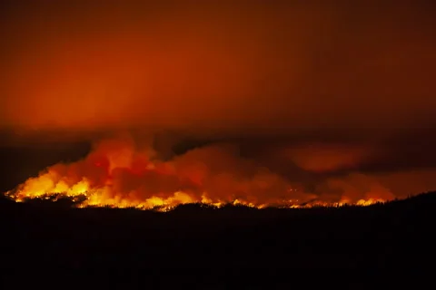 Wildfire Forest Night Timelapse Stock Footage 235492247
