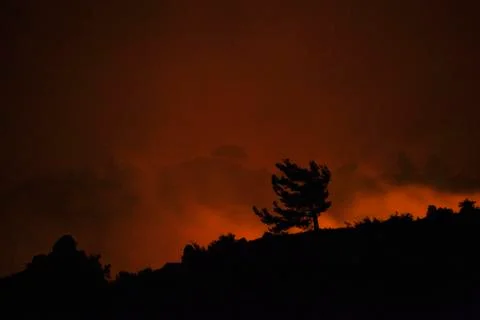 Wildfire forest Stock Photos