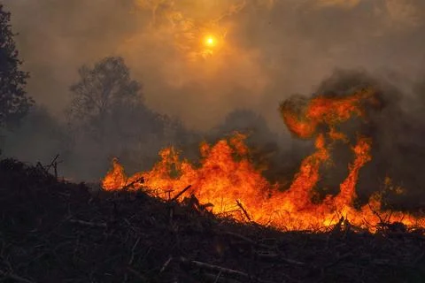 Wildfire in Galicia, Constante, Spain - 15 Oct 2017 Stock Photos