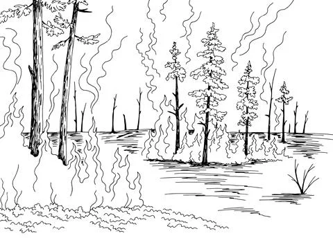 Wildfire graphic black white forest fire landscape sketch illustration vector Stock Illustration