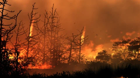 Wildfire HD loop 動画素材 29155586