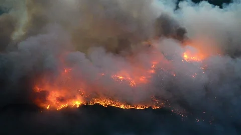 Wildfire Inferno 스톡 동영상 54751140