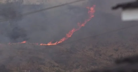 Wildfire Intense Flames at the Fire Front Advancing into Residential Area Stock Footage 241182322