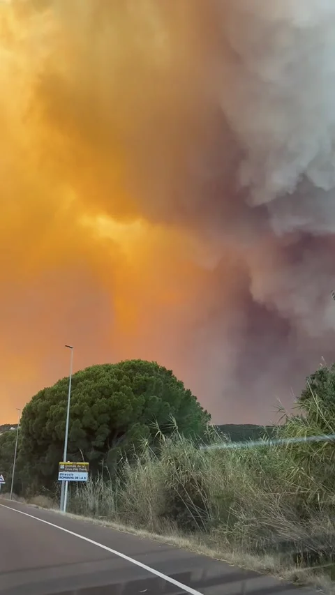 Wildfire in Les Gavarres, Spain, Calonge, Spain - 16 Jul 2026 Stock Footage 339796943