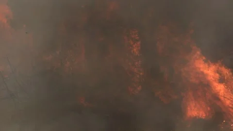 A wildfire linked to climate change in Amazonas, Venezuela, South America Stock Footage 133441704