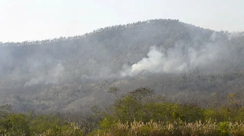 Wildfire in mountain of thailand Stock Footage 35787672