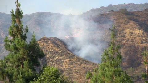 Wildfire in Mountains Video stock 65430048