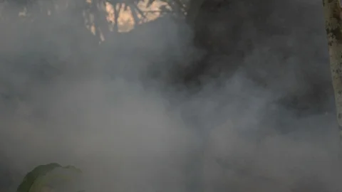 Wildfire Nature Burning Stock Footage 96067329