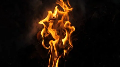 Wildfire Nature Burning Stock Footage 96067522
