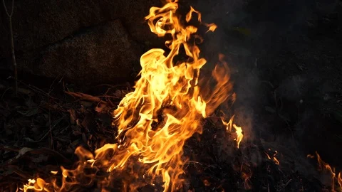 Wildfire Nature Burning Stock Footage 96067574