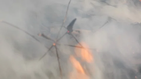 Wildfire Nature Burning Stock Footage 96067969