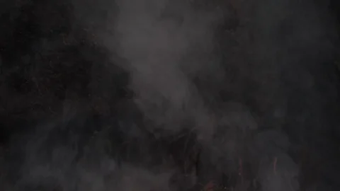 Wildfire Nature Burning Stock Footage 96069593