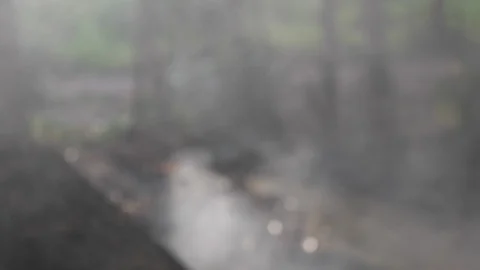 Wildfire Nature Burning Stock Footage 96070703