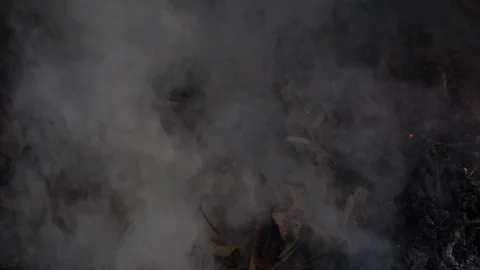 Wildfire Nature Burning Stock Footage 96071470