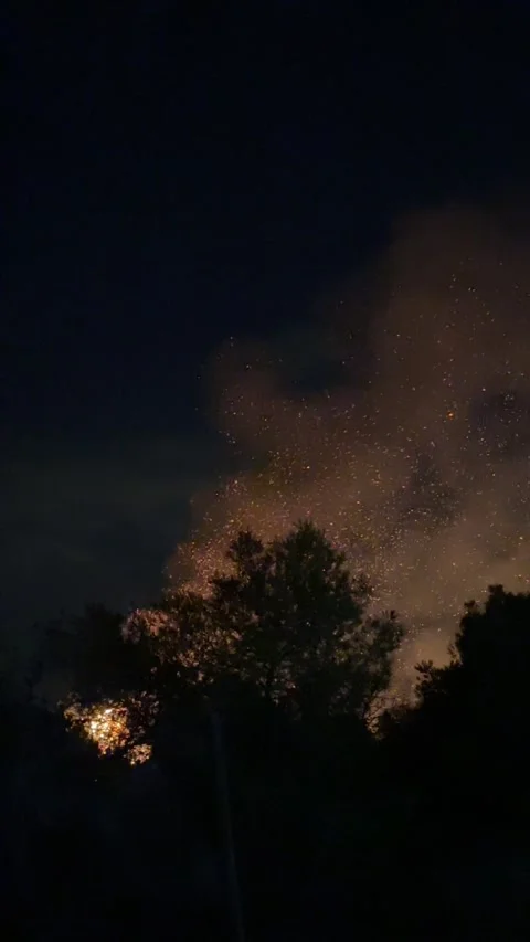 Wildfire at night with burning trees, smoke and sparks rising into the dark Stock Footage 345424736