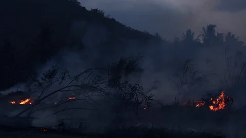 Wildfire at night close-up flame. Air Pollution  from burning farm fields. Stock Footage 106439038