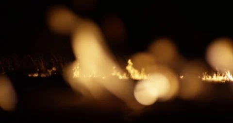 Wildfire at night. Dry grass burning on the field. Burning of straw on the field Stock Footage 89959301