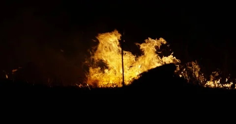 Wildfire at night. Dry grass burning on the field. Burning of straw on the field Stock Footage 89959807