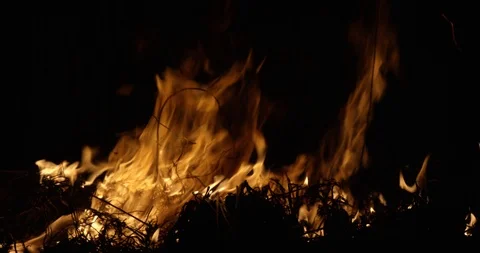 Wildfire at night. Dry grass burning on the field. Burning of straw on the field Video stock 89960049