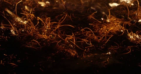 Wildfire at night. Dry grass burning on the field. Burning of straw on the field 스톡 동영상 89961069