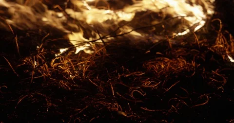 Wildfire at night. Dry grass burning on the field. Burning of straw on the field Stock Footage 89961275