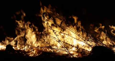 Wildfire at night. Dry grass burning on the field. Burning of straw on the field Stock-Footage 89961457