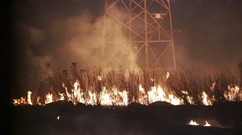 Wildfire at Night Stock Footage 51659151