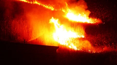 Wildfire at night Stock Footage 126355589